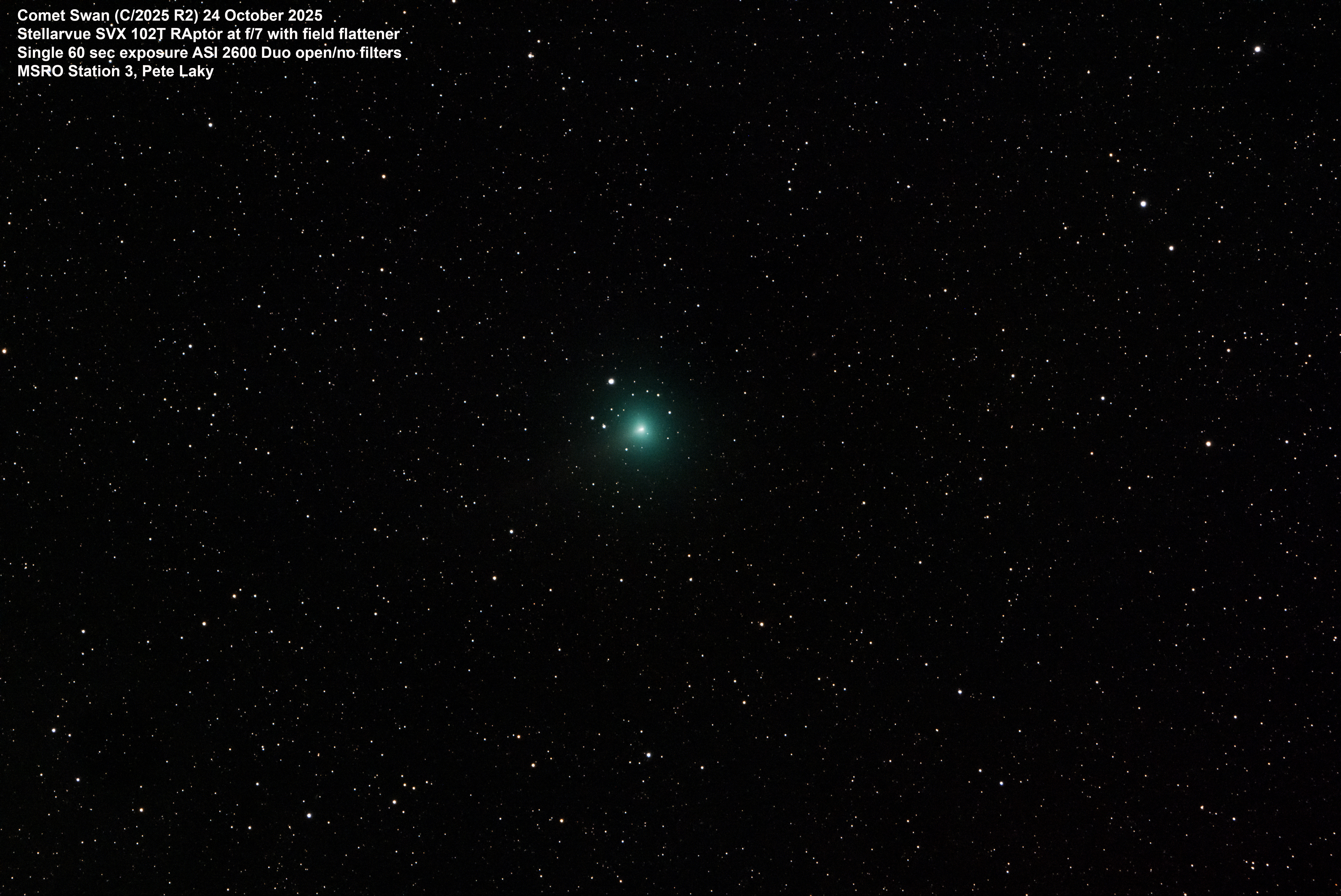 Comet Swan Luminance by Pete Laky